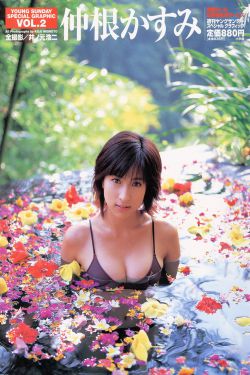 王小毅